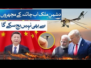 China Unveils Mosquito-Sized Micro Drone for Modern Warfare | Documentary Plus | 24 Plus