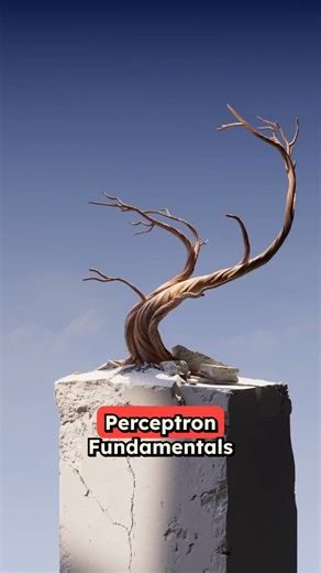 #perceptron #computervision #programming #coding #artificialintelligence #ai #viral #fyp #deeplearning #australian