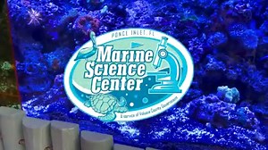 20 reactions · 4 comments | Join Chad as we learn about jawfish! Watch to find out about some interesting behaviors from this group of fish. At the Marine Science Center, you can find Yellowhead Jawfish in the bio-fluorescence exhibit in our gallery. | County of Volusia | Facebook