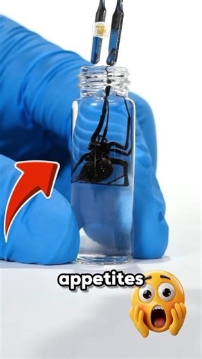 Top 3 Animals With the Biggest Appetites #facts #animalfacts #wildlife