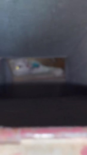 lizard person on TikTok