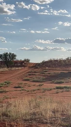Cheetahs Sprinting Across the Desert Landscape