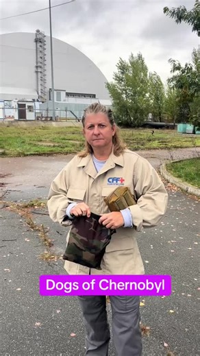 Rescue Abandoned Dogs in Chernobyl: Help Us Save Lives