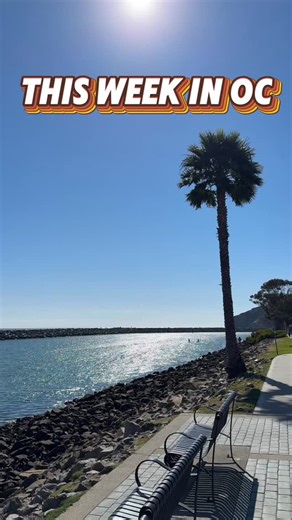 4.8K views · 28 reactions | This Week in OC! From live music and...