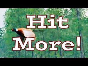 How to Shoot Pheasants! Improve Your Accuracy