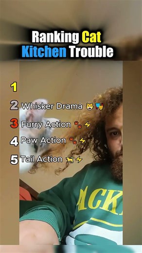 Ranking Cat Kitchen Trouble 😹🐱 Naughty Kitchen Cats || #catshorts #funnycats ‪@PawPals3‬
