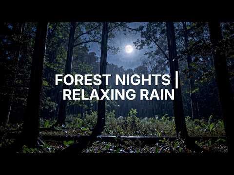 Forest Nights | Relaxing Rain