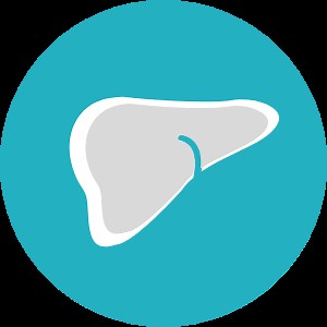 Fatty Liver Disease | Liver Canada