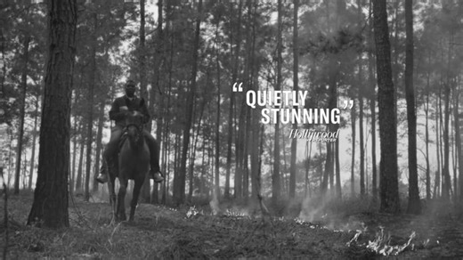 SEEDS Official Trailer (2025) | Aarin Michele Williams, Esq. | 12 comments