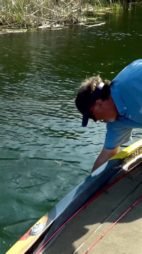 Start your Monday with sight fishing! @fishermanshandbook | Ranger Boats