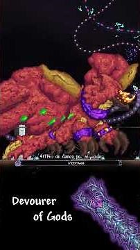 Devourer of Gods vs Calamity Post Moon Lord Bosses in #terraria