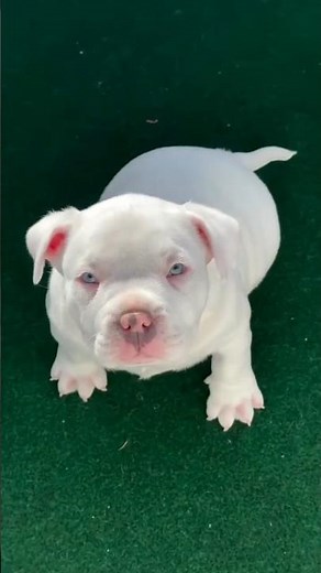 Small to Giant: Nature’s Amazing Creations!