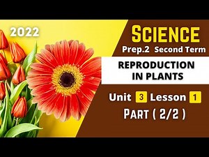 SCIENCE | Prep.2 | Reproduction in Plants #2 | Unit 3 - Lesson 1