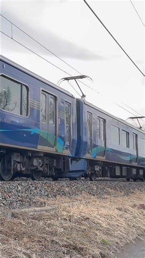 【しなの鉄道】平日朝の特別快速しなのサンライズ号の通過 #shorts #鉄道 #しなの鉄道 #sr1系 #通過 #電車 #鉄道風景 #特別快速