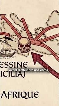 Le navire que personne n'aurait dû laisser accoster. ⚓️❌