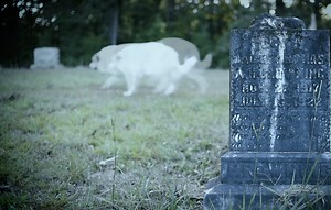 South Carolina Legend: The Ghost Hound of Goshen | South Carolina ETV