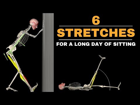 A Simple Stretch Routine for Your Back and Legs
