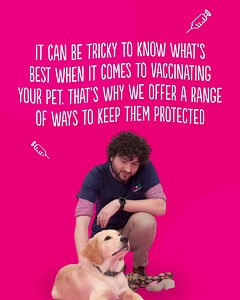 254 reactions · 28 shares | We offer a range of ways to keep on top of your pet’s vaccinations! Find out more today  | Vets for Pets | Facebook