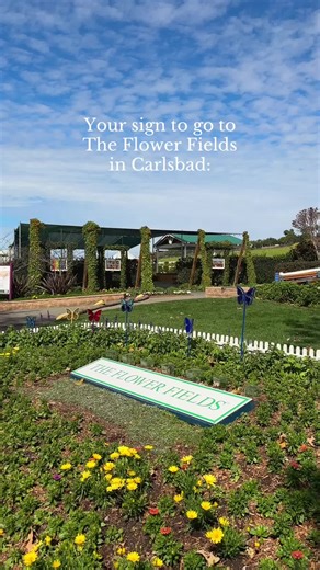 The fields are full of new growth, and we can't wait to see you! Tag who you're bringing with you 🌸 📍 Carlsbad, CA