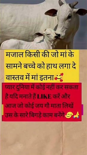 #shortvideo #viralvideo #viral #alizasehar #lepassetemps #viralvideo #ytshorts