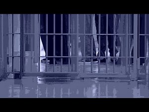 What you need to know about Amendment 4