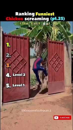 Ranking Funniest Chicken Screaming (Part 25) 🤣