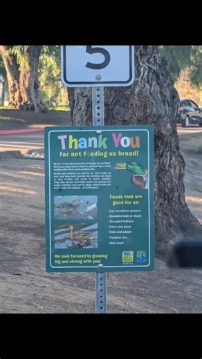 Sharon Lee Cadenhead Conway on Instagram: "Ronald Conway caught his first cold in 21 yrs from me🤷🏼‍♀️ We were up all night with the Kidney Transplant team because he spiked a low grade fever. Every 4 hrs took his temp and dispensed Tylenol. By morning there was no more fever, so we went to drive up at Southern Indian Health Campo Clinic for Covid Test & Flu A & B and Strep, he was negative. So like me just Robitussin over the counter. Went to Kidney Nephrologist and he read his lab results fro