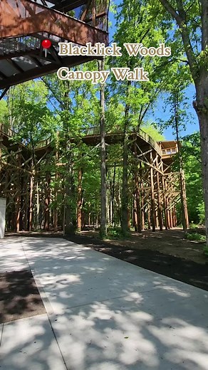 Blacklick Woods Canopy Walk: Now Open!