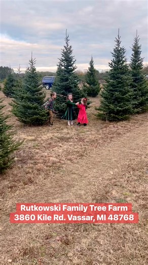 We’ll be rockin’ around the Christmas trees starting November 23rd! 🎶🌲 Bring the family, find your perfect tree, and kick off the holidays at Rutkowski Family Tree Farm! 📍3860 Kile Rd., Vassar, MI • 9–5 | Rutkowski Family Tree Farm