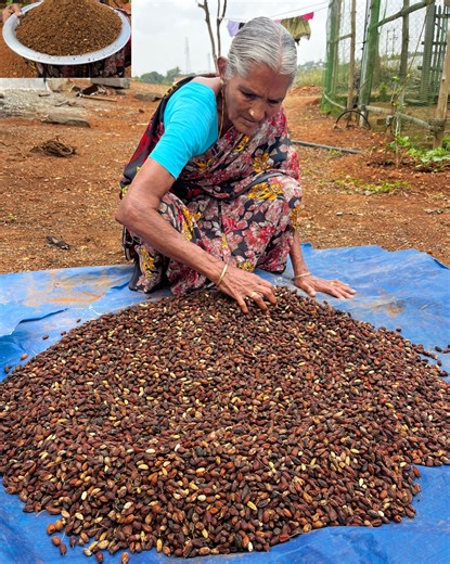 862K views · 4K reactions | Neem Powder Making | Country Food Cooking | Facebook