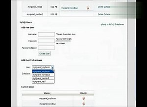 cpanel中添加mysql数据库的操作教程
