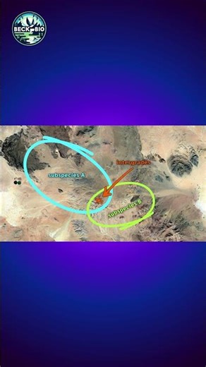 Wildlife Intergrades