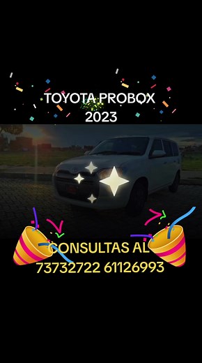 TOYOTA PROVOX