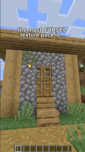MOST CURSED texture packs