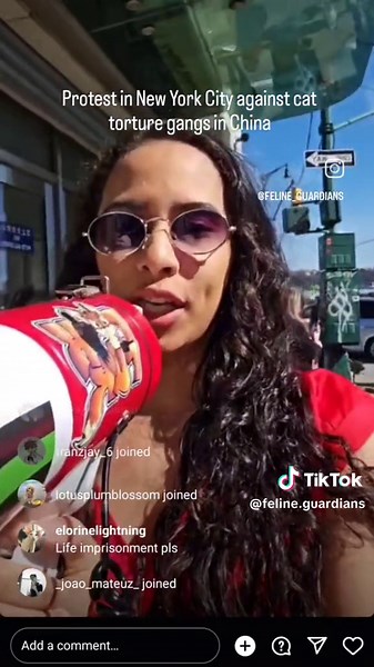 Chinese Cat Torture Gangs Exposed: Stop the Cruelty Now!