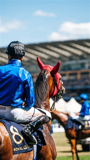 Ladies and gentlemen, the Ascot Flat season is upon us. You can almost hear the hooves on the track and the roar of the enclosures. But enough anticipation – it's time for the stalls to spring open... | Ascot Racecourse
