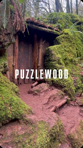 Conor Carter on Instagram: "A Magical Forest used in the film Harry Potter ✨🌳 This is Puzzlewood, located in the Forest of Dean, Gloucestershire. Postcode: GL16 8QB Save this down for inspiration on your next adventure day out 🤩 . . . . Outdoors | Adventure | Explore | Forest | Hidden Gems | Places to Visit #hike #outdoors #placestovisit #hiddengems #exploremoreً"