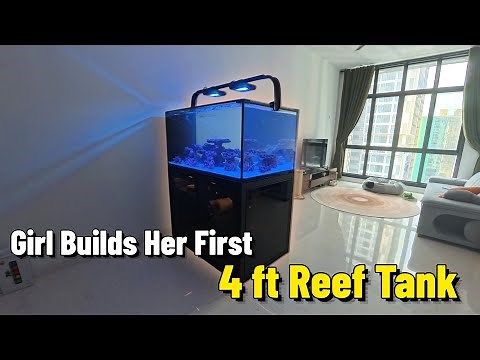 Beginner’s 4FT Reef Tank Build | Aluminum Frame & Full Setup