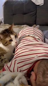 World's best babysitter! 😻👶😘 | The Pet Collective