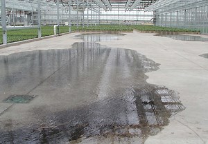 Subirrigation: Watering From The Ground Up