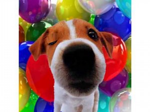 Happy Birthday Mark! - Your Personal Birthday Video