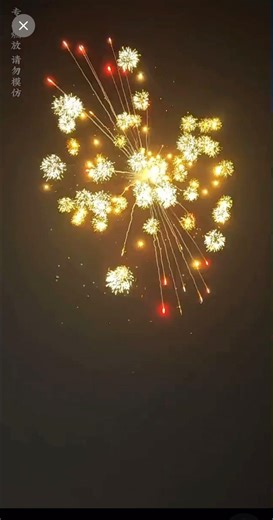 The real pyro #pyrotechnics #pyro #fireworks #fireworksdisplay