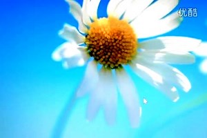 华擎 ASRock InstantBoot 极速关机启动