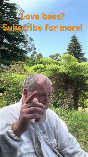 Helping a Weak Hive Survive 🐝