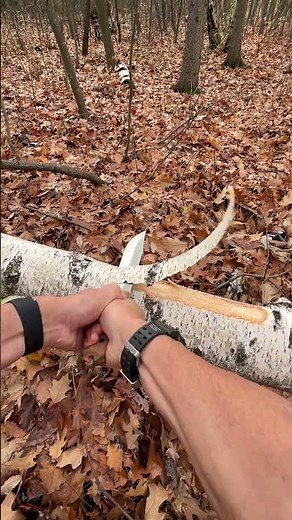 Cutting #asmr #bushcraft #survival