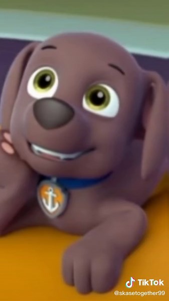 Explore Zuma's Orange Adventures with Paw Patrol