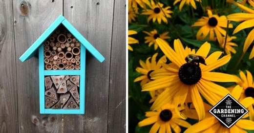 How to Build a Bee Habitat - Gardening Channel