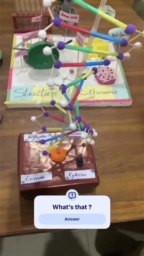 Model for science exhibition #trending #DNA #craft