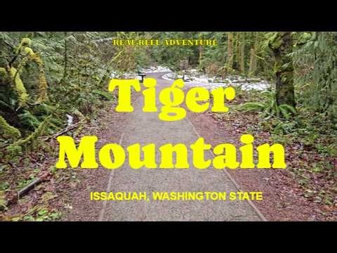 Tiger Mountain Hiking Adventure | Issaquah WA Trails & Stunning Views