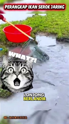 FISHING MANIA | SCOOP NET FISH TRAP #unique-facts #fishtrap #shorts